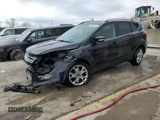 2016 Ford Escape Titanium with VIN 1FMCU0JX8GUA19696, listed as a Copart auction lot 46294145 with 99,165 mi miles and Salvage Title. Bid and sale history available at carsss.com. Image 1.