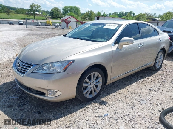 2010 Lexus ES 330 with VIN JTHBK1EG4A2390829, listed as a IAAI auction lot 42120535 with 111,764 mi miles and . Bid and sale history available at DreamBid. Image 2.