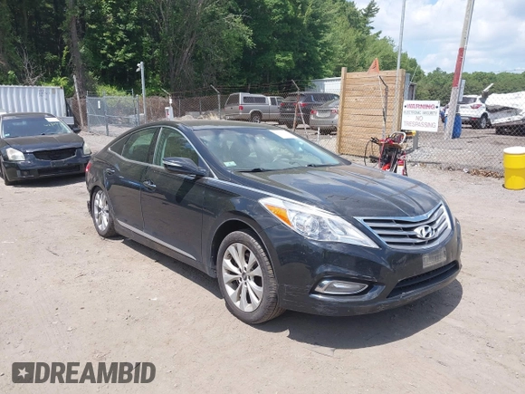 2012 Hyundai Azera with VIN KMHFG4JG2CA133104, listed as a IAAI auction lot 42562933 with Not provided miles and . Bid and sale history available at DreamBid. Image 1.