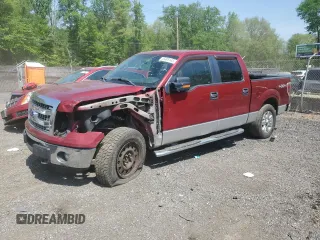 2013 Ford F-150 XL with VIN 1FTFW1EFXDFA97254, listed as a Copart auction lot 55405145 with 195,681 mi miles and Salvage Title. Bid and sale history available at carsss.com. Image 1.