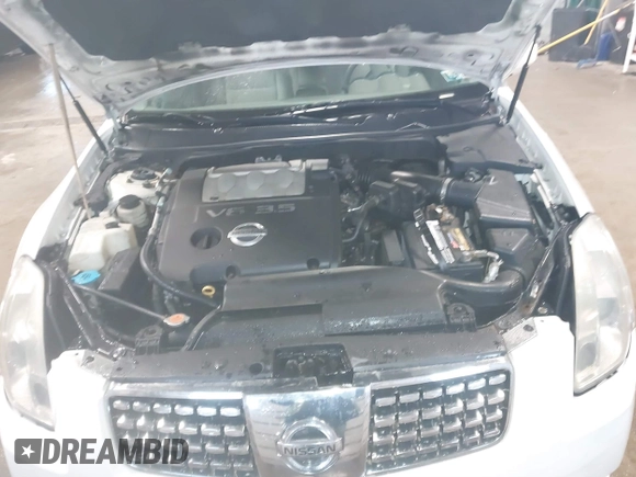 2004 Nissan Maxima SE with VIN 1N4BA41E04C890873, listed as a IAAI auction lot 41468051 with 171,641 mi miles and . Bid and sale history available at DreamBid. Image 10.