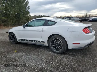 2021 Ford Mustang EcoBoost with VIN 1FA6P8TH7M5116896, listed as a Copart auction lot 38178004 with 36,035 mi miles and Salvage title. Bid and sale history available at DreamBid. Image 2.