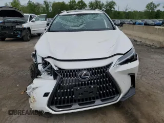 2025 Lexus NX 350 with VIN 2T2AGCEZ5SC065634, listed as a Copart auction lot 56819705 with 7,403 mi miles and Salvage title. Bid and sale history available at DreamBid. Image 5.