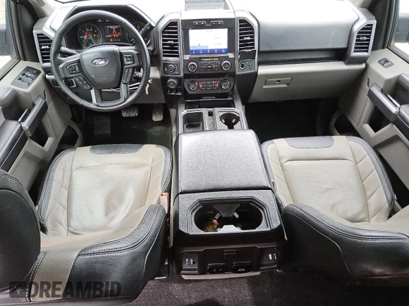 2019 Ford F-150 XL with VIN 1FTEW1E57KFB00501, listed as a Copart auction lot 49469185 with 251,210 mi miles and Clean Title. Bid and sale history available at carsss.com. Image 8.