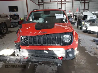 2019 Jeep Renegade Trailhawk with VIN ZACNJBC10KPK40100, listed as a IAAI auction lot 41096553 with 41,384 mi miles and . Bid and sale history available at DreamBid. Image 13.