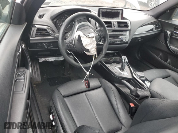2016 BMW 2 Series 228i xDrive with VIN WBA1G9C53GV599188, listed as a Copart auction lot 59300385 with Not provided miles and Salvage title. Bid and sale history available at DreamBid. Image 8.