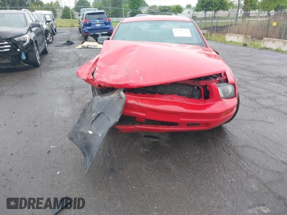 2005 Ford Mustang Deluxe with VIN 1ZVFT80N555110559, listed as a IAAI auction lot 42320778 with 117,594 mi miles and . Bid and sale history available at DreamBid. Image 6.