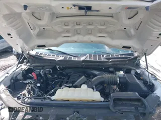 2021 Ford F-150 XL with VIN 1FTFW1E5XMFA29043, listed as a IAAI auction lot 42276606 with Not provided miles and . Bid and sale history available at DreamBid. Image 9.