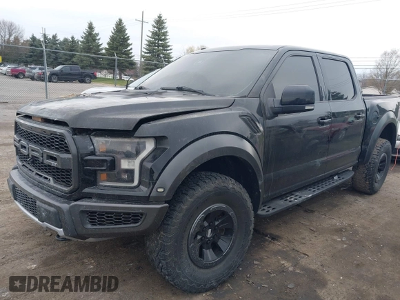 2017 Ford F-150 Raptor with VIN 1FTFW1RG5HFC33542, listed as a IAAI auction lot 41991276 with Not Provided miles and . Bid and sale history available at carsss.com. Image 2.