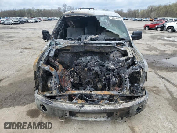 2011 Ford F-150 XL with VIN 1FTFX1ET8BFD05695, listed as a Copart auction lot 53955265 with 0 mi miles and Salvage Title. Bid and sale history available at carsss.com. Image 5.