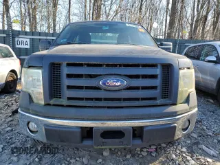 2010 Ford F-150 XL with VIN 1FTMF1C88AKE06766, listed as a Copart auction lot 81113564 with 0 mi miles and Clean Title. Bid and sale history available at carsss.com. Image 5.