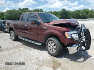 2009 Ford F-150 STX with VIN 1FTRX12869KB38106, listed as a Copart auction lot 62023805 with 66,700 mi miles and Salvage title. Bid and sale history available at DreamBid. Image 4.
