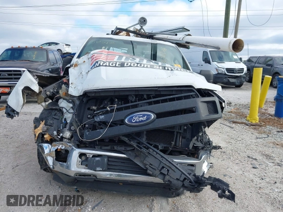 2019 Ford F-150 XL with VIN 1FTEW1CB9KFD18349, listed as a IAAI auction lot 41261246 with Not Provided miles and . Bid and sale history available at DreamBid. Image 12.