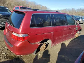 2005 Honda Odyssey EX-L with VIN 5FNRL38675B070239, listed as a Copart auction lot 49959515 with 217,089 mi miles and Salvage Title. Bid and sale history available at carsss.com. Image 3.