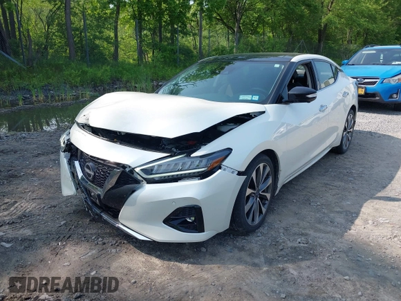 2023 Nissan Maxima Platinum with VIN 1N4AA6FV5PC505862, listed as a IAAI auction lot 42418625 with 10,485 mi miles and . Bid and sale history available at DreamBid. Image 6.