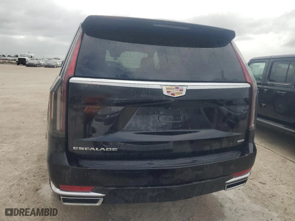 2022 Cadillac Escalade 4WD Premium Luxury with VIN 1GYS4BKL0NR345977, listed as a Copart auction lot 76779004 with 0 mi miles and Non Repairable. Bid and sale history available at carsss.com. Image 6.