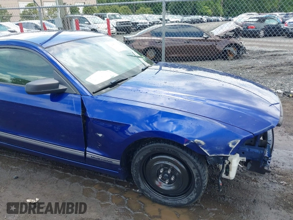 2013 Ford Mustang V6 with VIN 1ZVBP8AM4D5227735, listed as a IAAI auction lot 42395404 with 133,488 mi miles and . Bid and sale history available at DreamBid. Image 18.