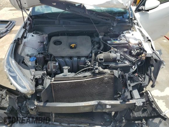 2019 Kia Forte LXS with VIN 3KPF24AD1KE073983, listed as a Copart auction lot 56288935 with 126,191 mi miles and Salvage title. Bid and sale history available at DreamBid. Image 11.