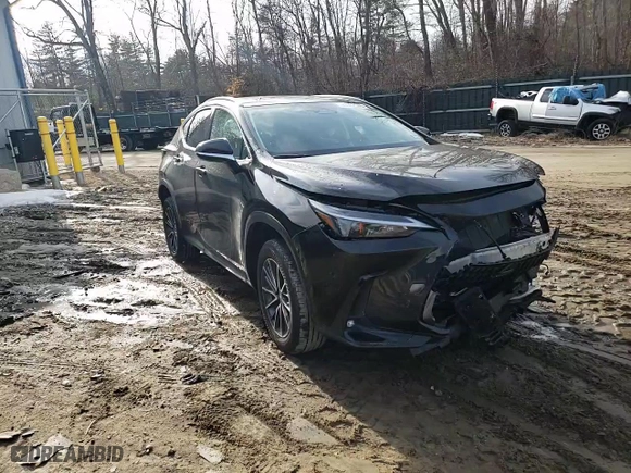 2022 Lexus NX with VIN 2T2GGCEZXNC004228, listed as a Copart auction lot 48962545 with 31,451 mi miles and Salvage Title. Bid and sale history available at carsss.com. Image 14.