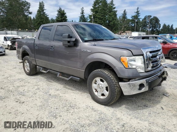 2012 Ford F-150 XL with VIN 1FTFW1EF5CKD80067, listed as a Copart auction lot 61274875 with 132,670 mi miles and Salvage title. Bid and sale history available at DreamBid. Image 4.