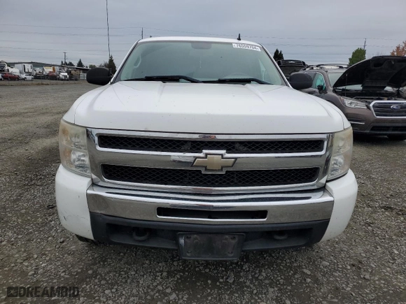 2009 Chevrolet Silverado 1500 Work Truck with VIN 1GCEK19C89Z298390, listed as a Copart auction lot 76559704 with 251,859 mi miles and Salvage Title. Bid and sale history available at carsss.com. Image 5.