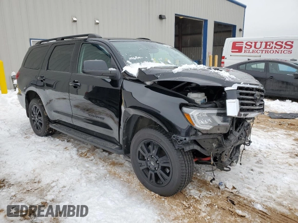 2019 Toyota Sequoia SR5 with VIN 5TDBY5G15KS168424, listed as a Copart auction lot 39306424 with 0 mi miles. Bid and sale history available at carsss.com. Image 4.