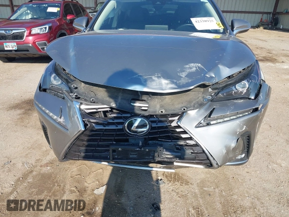 2021 Lexus NX 300 с VIN JTJDARDZ9M2248489, выставлен на аукционе IAAI как лот 42338925 с пробегом 39 436 миль миль и . История ставок и продаж доступна на DreamBid. Изображение 6.