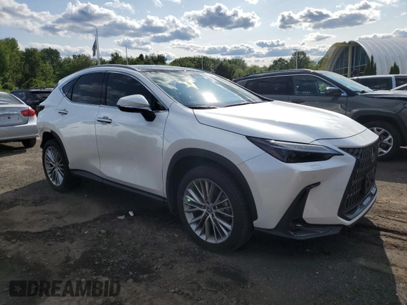 2024 Lexus NX 350 Luxury with VIN 2T2HGCEZ1RC048676, listed as a Copart auction lot 58994635 with 13,229 mi miles and Salvage title. Bid and sale history available at DreamBid. Image 4.