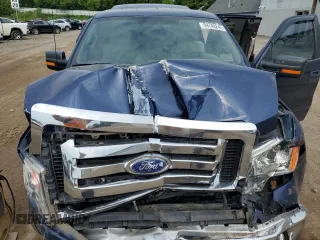 2010 Ford F-150 XL with VIN 1FTFX1CV1AFC03710, listed as a Copart auction lot 59748245 with 60,679 mi miles and Clean title. Bid and sale history available at DreamBid. Image 11.