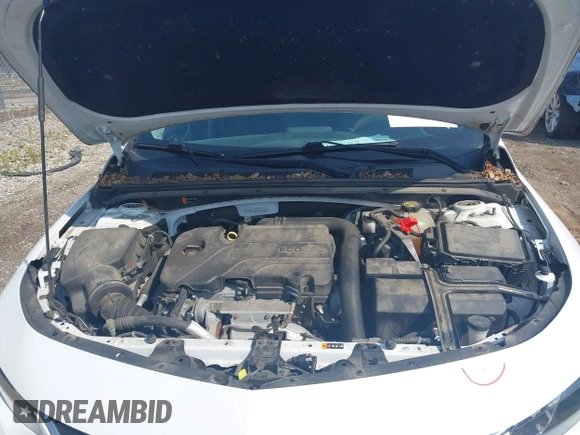 2018 Chevrolet Malibu LT with VIN 1G1ZD5ST2JF249357, listed as a IAAI auction lot 42590310 with 98,503 mi miles and . Bid and sale history available at DreamBid. Image 10.