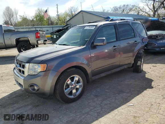 2009 Ford Escape Limited with VIN 1FMCU04799KC04303, listed as a Copart auction lot 51794545 with 236,892 mi miles and Salvage title. Bid and sale history available at DreamBid. Image 1.