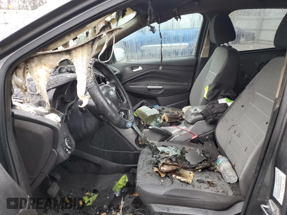 2014 Ford Escape SE с VIN 1FMCU9GX5EUC08895, выставлен на аукционе Copart как лот 77551283 с пробегом Не указан миль и Списание • Salvage title. История ставок и продаж доступна на DreamBid. Изображение 7.