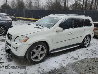 2008 Mercedes-Benz GL-Class 5.5L with VIN 4JGBF86E78A335539, listed as a Copart auction lot 46166555 with 184,228 mi miles and Salvage Title. Bid and sale history available at carsss.com. Image 1.