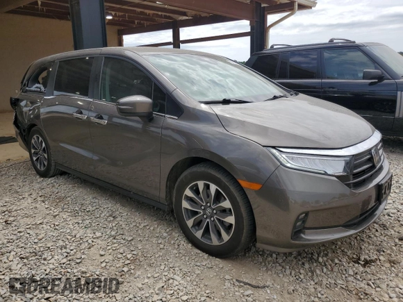 2022 Honda Odyssey EX-L с VIN 5FNRL6H77NB052222, выставлен на аукционе Copart как лот 55303045 с пробегом 84 666 миль миль и Списание • Salvage title. История ставок и продаж доступна на DreamBid. Изображение 4.