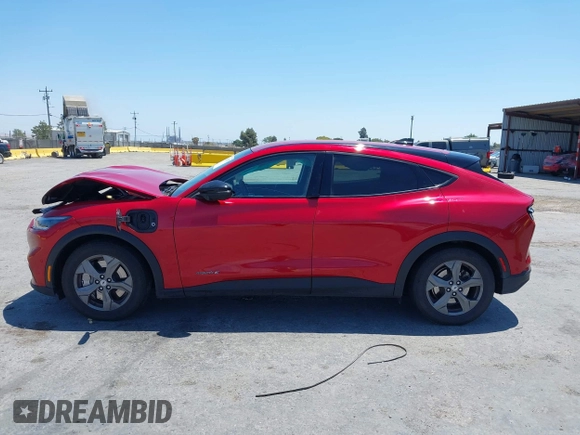 2023 Ford Mustang Mach-E Select with VIN 3FMTK1RM9PMA18356, listed as a IAAI auction lot 42478275 with 38,904 mi miles and . Bid and sale history available at DreamBid. Image 14.