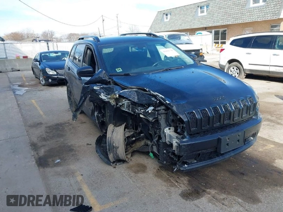 2017 Jeep Cherokee Sport with VIN 1C4PJMAB4HW664474, listed as a IAAI auction lot 41811736 with 102,301 mi miles. Bid and sale history available at carsss.com. Image 1.