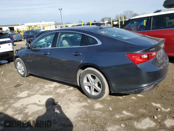 2019 Chevrolet Malibu LS with VIN 1G1ZB5ST1KF225817, listed as a Copart auction lot 44306405 with 44,675 mi miles and Salvage Title. Bid and sale history available at DreamBid. Image 2.