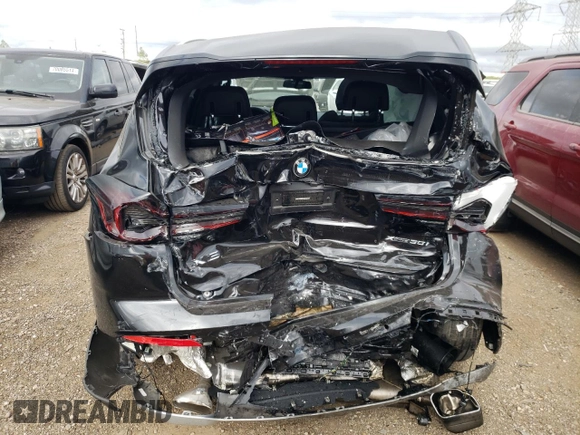 2023 BMW X3 xDrive30i with VIN 5UX53DP00P9S48442, listed as a Copart auction lot 70309554 with 0 mi miles and Salvage Title. Bid and sale history available at carsss.com. Image 6.