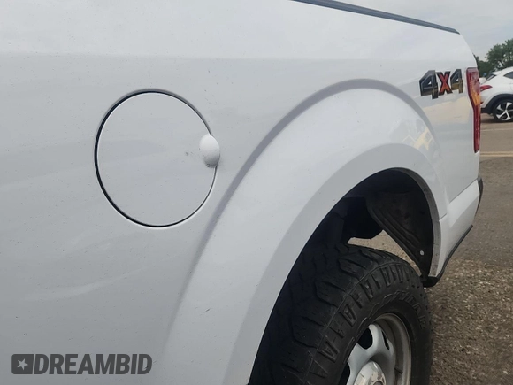 2017 Ford F-150 XL with VIN 1FTEX1E82HKD27618, listed as a IAAI auction lot 42796140 with 124,457 mi miles and . Bid and sale history available at DreamBid. Image 25.