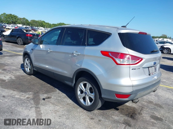 2014 Ford Escape SE with VIN 1FMCU0GX2EUB22357, listed as a IAAI auction lot 41838568 with 164,481 mi miles. Bid and sale history available at carsss.com. Image 3.