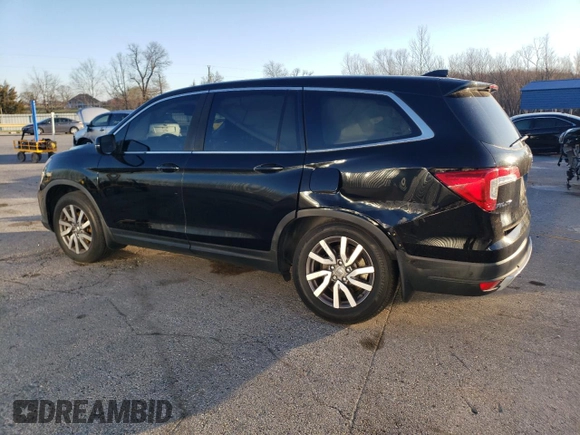 2021 Honda Pilot EX-L with VIN 5FNYF5H58MB019823, listed as a Copart auction lot 49236655 with 41,667 mi miles and Salvage Title. Bid and sale history available at DreamBid. Image 2.