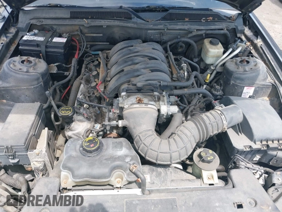 2007 Ford Mustang GT Deluxe с VIN 1ZVHT82H875281518, выставлен на аукционе IAAI как лот 42633779 с пробегом 238 474 миль миль и . История ставок и продаж доступна на DreamBid. Изображение 10.
