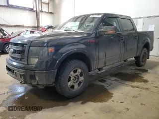 2013 Ford F-150 XL with VIN 1FTFW1ET4DFD59081, listed as a Copart auction lot 49171165 with 196,810 mi miles and Salvage title. Bid and sale history available at DreamBid. Image 1.