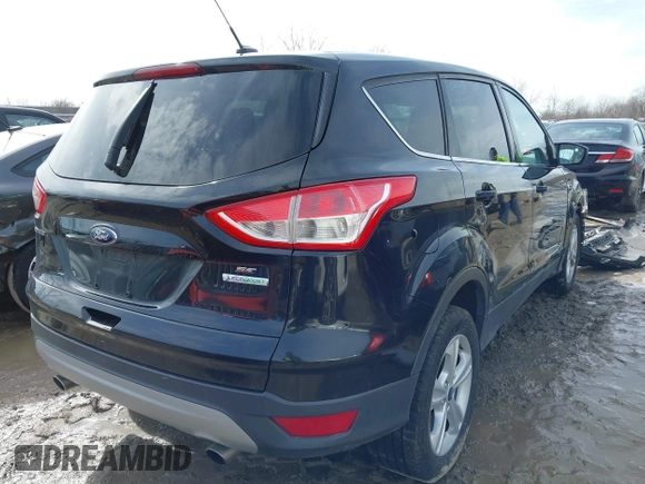 2013 Ford Escape SE с VIN 1FMCU0GX0DUD08753, выставлен на аукционе IAAI как лот 41674828 с пробегом 149 850 миль миль и . История ставок и продаж доступна на DreamBid. Изображение 4.