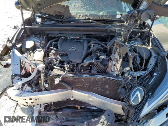 2023 Lexus NX with VIN 2T2KGCEZ4PC016260, listed as a Copart auction lot 85488734 with 33,244 mi miles and Salvage Title. Bid and sale history available at carsss.com. Image 14.