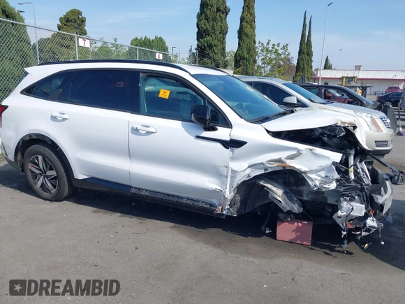 2021 Kia Sorento S with VIN 5XYRL4LC8MG035364, listed as a IAAI auction lot 42029472 with Not provided miles and . Bid and sale history available at DreamBid. Image 13.