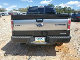 2013 Ford F-150 XL with VIN 1FTFW1EF6DFB14941, listed as a Copart auction lot 50497275 with 176,672 mi miles and Salvage Title. Bid and sale history available at DreamBid. Image 6.