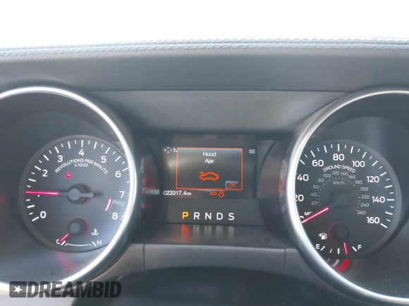 2019 Ford Mustang GT with VIN 1FA6P8CF5K5181483, listed as a IAAI auction lot 42012641 with 23,317 mi miles. Bid and sale history available at carsss.com. Image 7.
