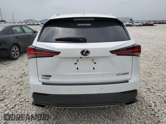 2019 Lexus NX 300 with VIN JTJBARBZ4K2186166, listed as a Copart auction lot 50762005 with 60,023 mi miles and Clean title. Bid and sale history available at DreamBid. Image 6.