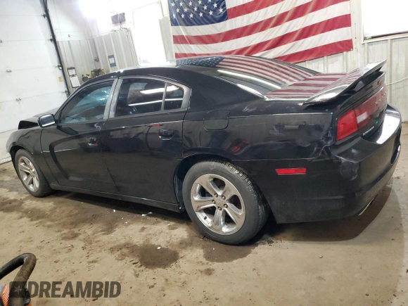 2013 Dodge Charger SE with VIN 2C3CDXBG1DH725486, listed as a Copart auction lot 49420265 with 215,154 mi miles and Salvage Title. Bid and sale history available at DreamBid. Image 2.